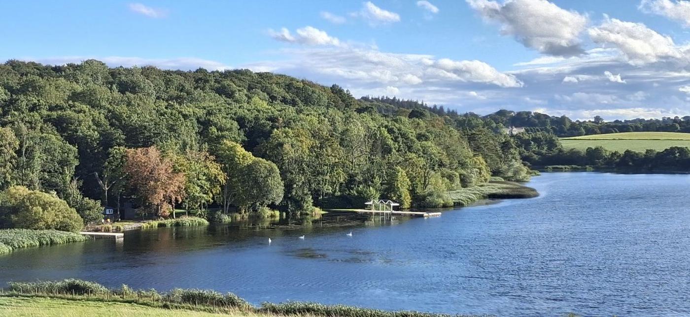 Castledillon Lake and its wooded shore