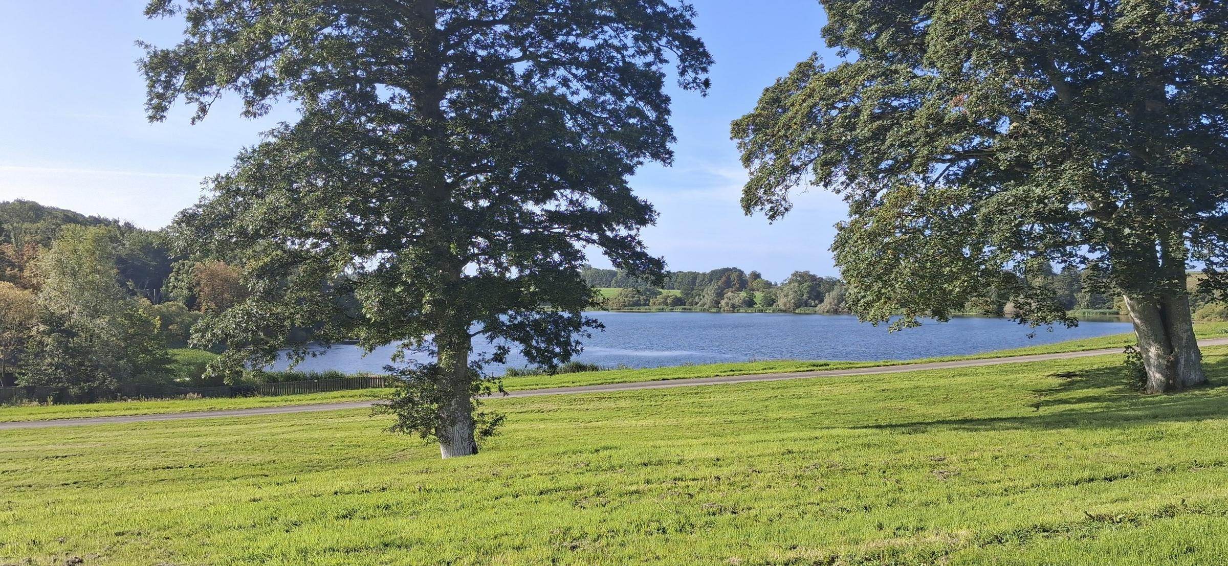 Parkland oaks and the lake seen from the site